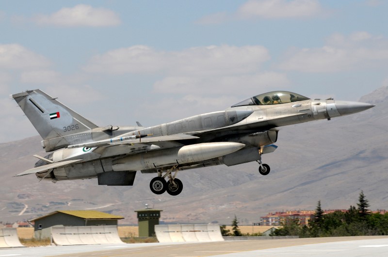 Photo 30.jpg - A F-16E of the United Arab Emirates shortly before touching down after the last mission on the 20.06.2013